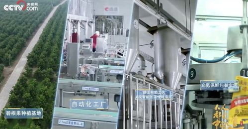 洽洽食品2022年三季度凈利潤達6.27億元，同比增長5.45%，技術(shù)服務(wù)成新增長點